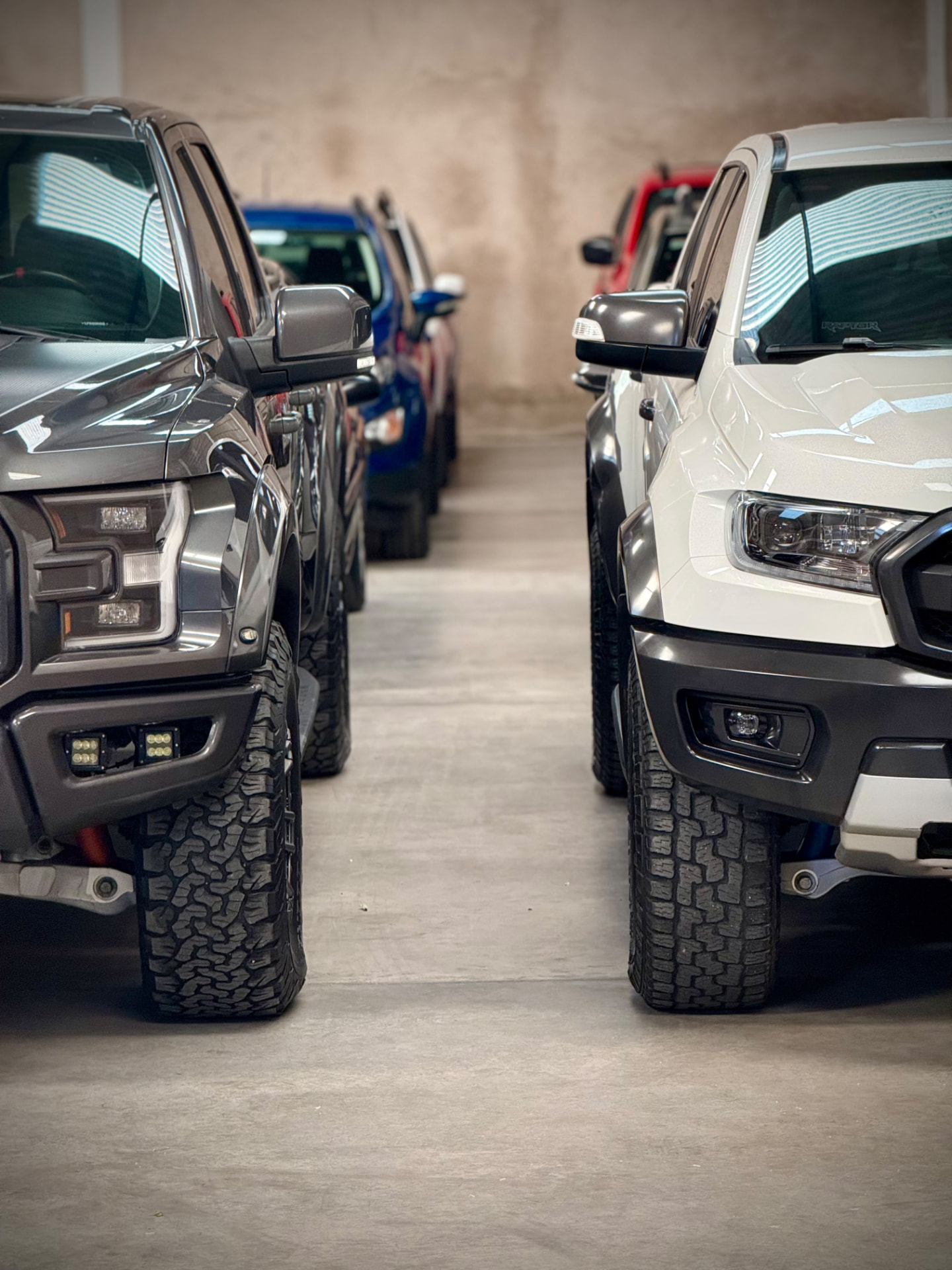 Camionetas seleccionadas en la agencia GIOVANE